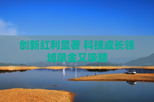创新红利显著 科技成长领域吸金又吸睛