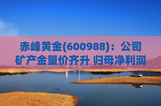 赤峰黄金(600988)：公司矿产金量价齐升 归母净利润创历史新高