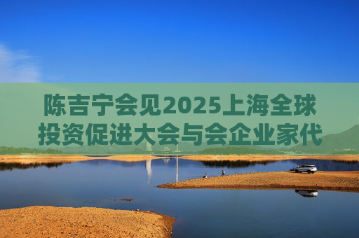 陈吉宁会见2025上海全球投资促进大会与会企业家代表