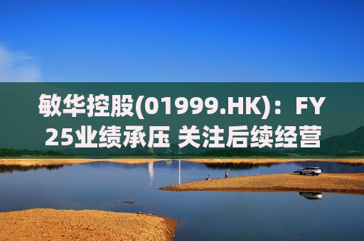 敏华控股(01999.HK)：FY25业绩承压 关注后续经营改善