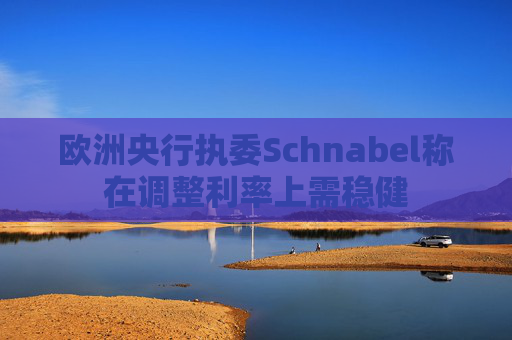 欧洲央行执委Schnabel称在调整利率上需稳健