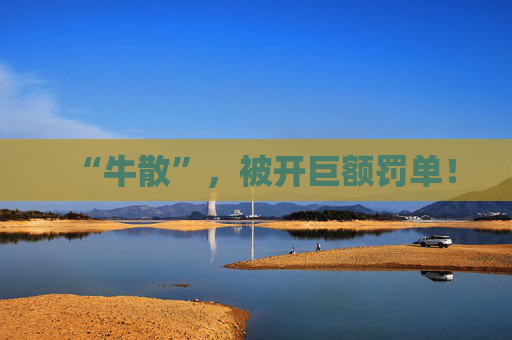 “牛散”，被开巨额罚单！