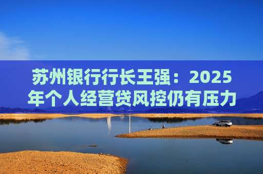 苏州银行行长王强：2025年个人经营贷风控仍有压力，但不会造成冲击