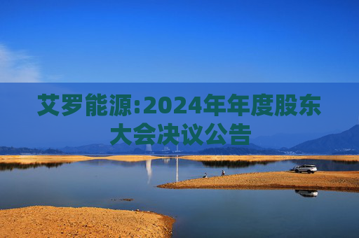 艾罗能源:2024年年度股东大会决议公告