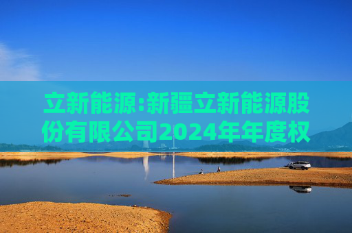 立新能源:新疆立新能源股份有限公司2024年年度权益分派实施公告