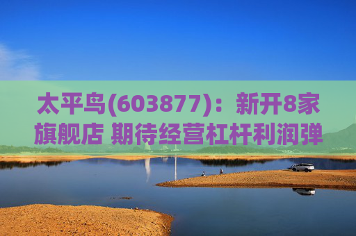 太平鸟(603877):新开8家旗舰店 期待经营杠杆利润弹性 第1张 太平鸟(603877):新开8家旗舰店 期待经营杠杆利润弹性 第1张