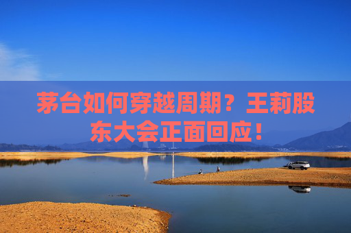 茅台如何穿越周期？王莉股东大会正面回应！