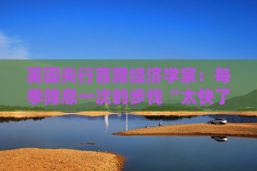 英国央行首席经济学家：每季降息一次的步伐“太快了”