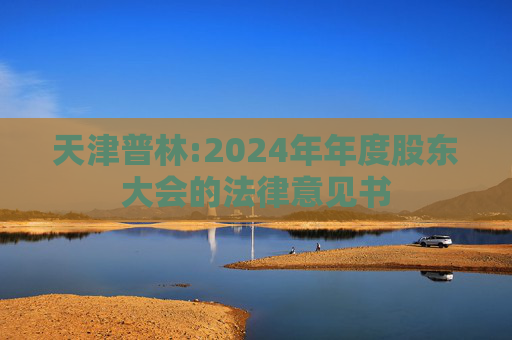 天津普林:2024年年度股东大会的法律意见书