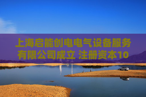 上海启能创电电气设备服务有限公司成立 注册资本100万人民币