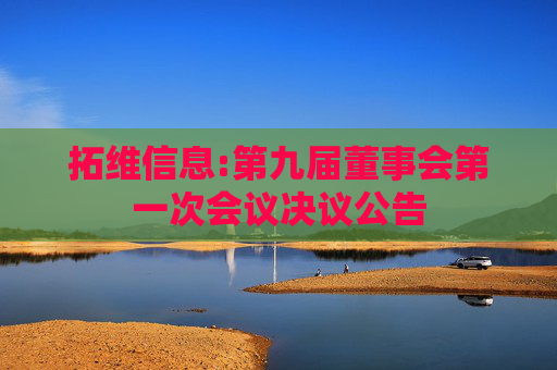 拓维信息:第九届董事会第一次会议决议公告