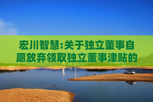 宏川智慧:关于独立董事自愿放弃领取独立董事津贴的公告