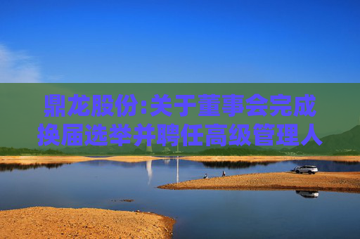 鼎龙股份:关于董事会完成换届选举并聘任高级管理人员、审计部负责人及证券事务代表的公告