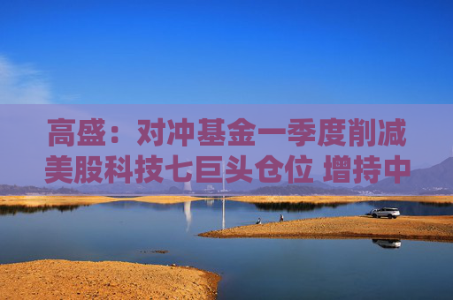 高盛：对冲基金一季度削减美股科技七巨头仓位 增持中概股