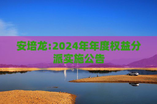 安培龙:2024年年度权益分派实施公告
