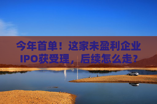 今年首单！这家未盈利企业IPO获受理，后续怎么走？