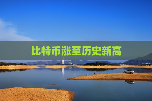 比特币涨至历史新高