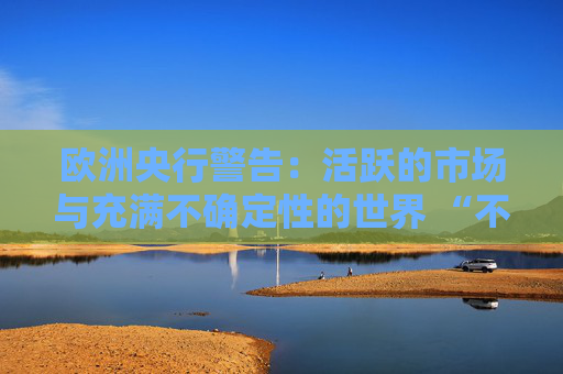欧洲央行警告：活跃的市场与充满不确定性的世界 “不同步”