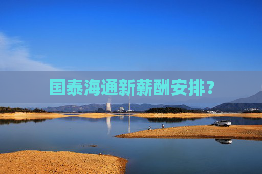 国泰海通新薪酬安排？