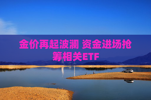 金价再起波澜 资金进场抢筹相关ETF  第1张