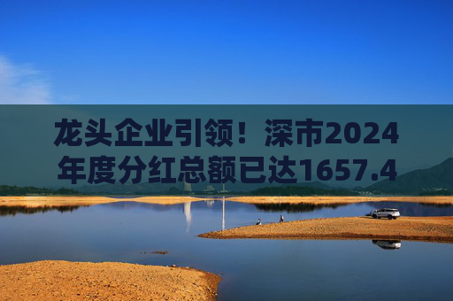 龙头企业引领！深市2024年度分红总额已达1657.47亿元