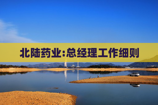 北陆药业:总经理工作细则