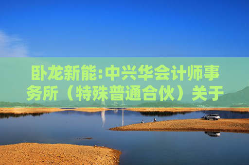 卧龙新能:中兴华会计师事务所（特殊普通合伙）关于不存在《上市公司监管指引第7号――上市公司重大资产重组相关股票异常交易监管》第十二条不得参与任何上市公司重大资产重组情形的说明