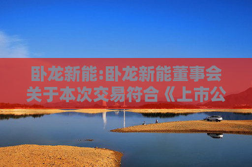 卧龙新能:卧龙新能董事会关于本次交易符合《上市公司重大资产重组管理办法》第十一条有关规定的说明  第1张