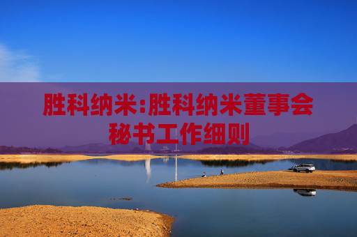 胜科纳米:胜科纳米董事会秘书工作细则