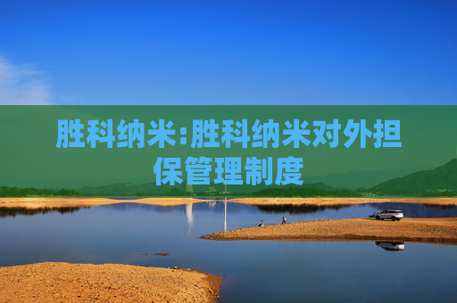 胜科纳米:胜科纳米对外担保管理制度