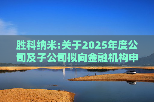 胜科纳米:关于2025年度公司及子公司拟向金融机构申请授信额度及公司为子公司提供担保额度预计的公告