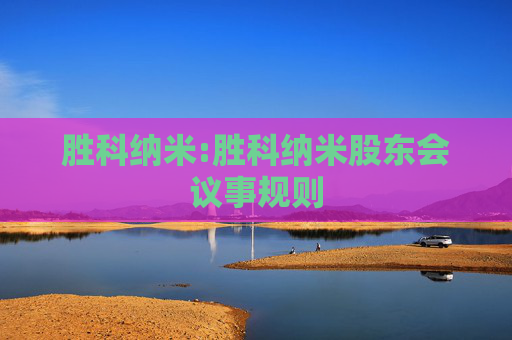 胜科纳米:胜科纳米股东会议事规则