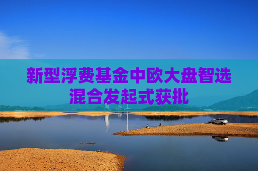 新型浮费基金中欧大盘智选混合发起式获批