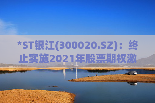 *ST银江(300020.SZ)：终止实施2021年股票期权激励计划及2023年限制性股票激励计划