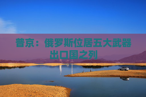 普京：俄罗斯位居五大武器出口国之列