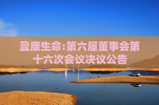 盈康生命:第六届董事会第十六次会议决议公告