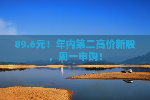 89.6元！年内第二高价新股，周一申购！