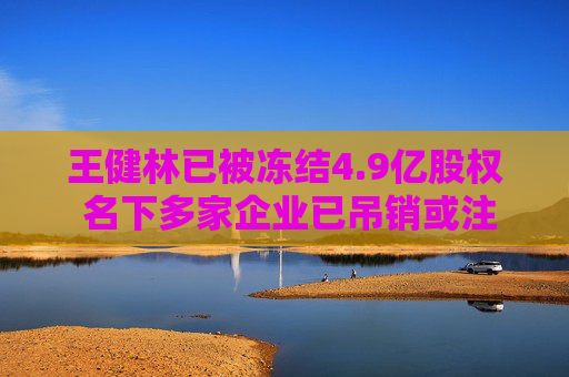 王健林已被冻结4.9亿股权 名下多家企业已吊销或注销