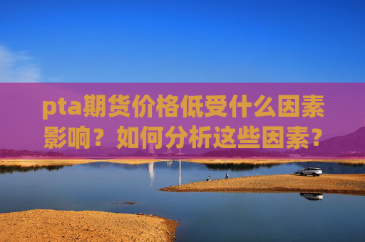pta期货价格低受什么因素影响？如何分析这些因素？