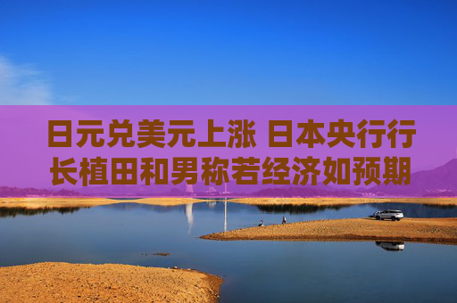 日元兑美元上涨 日本央行行长植田和男称若经济如预期改善将调整政策  第1张