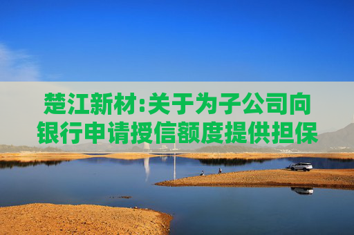 楚江新材:关于为子公司向银行申请授信额度提供担保的进展公告  第1张