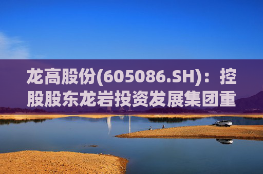 龙高股份(605086.SH)：控股股东龙岩投资发展集团重组  第1张