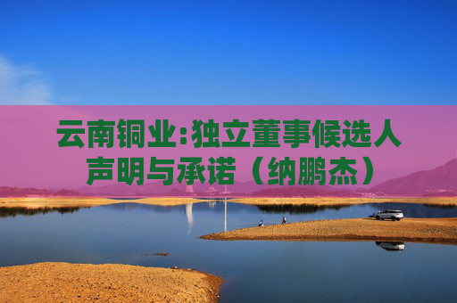 云南铜业:独立董事候选人声明与承诺（纳鹏杰）