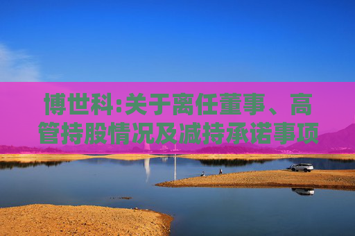 博世科:关于离任董事、高管持股情况及减持承诺事项的说明