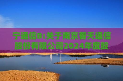 宁通信B:关于南京普天通信股份有限公司2024年度股东大会的法律意见书