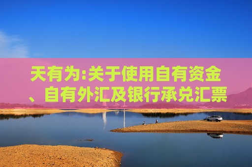 天有为:关于使用自有资金、自有外汇及银行承兑汇票等方式支付募投项目部分款项并以募集资金等额置换的公告