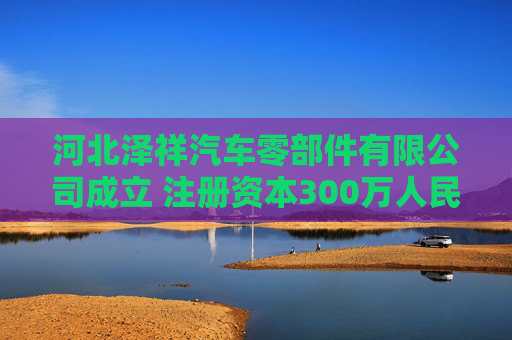 河北泽祥汽车零部件有限公司成立 注册资本300万人民币  第1张