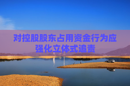 对控股股东占用资金行为应强化立体式追责