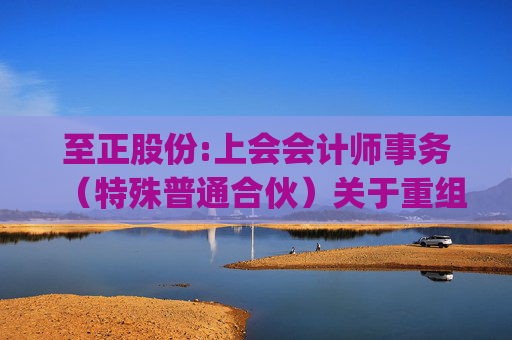至正股份:上会会计师事务（特殊普通合伙）关于重组问询函的回复（上会业函字(2025)第739号）