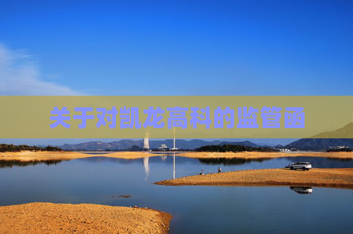 关于对凯龙高科的监管函